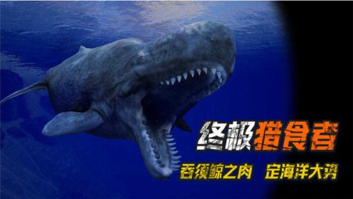 史前的巨型海中王者-梅氏利维坦鲸