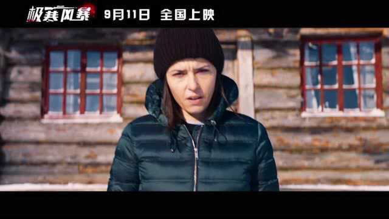 极寒风暴发布正片片段