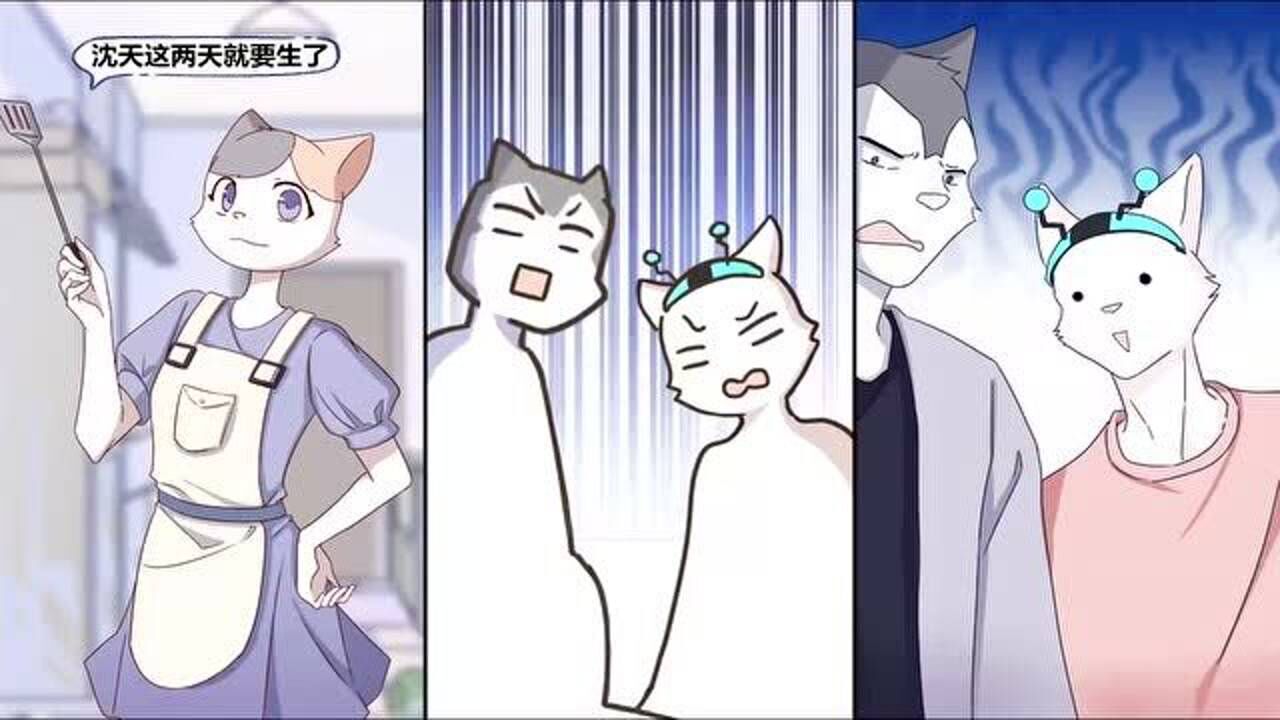 狼人沈天外星狼人的产前护理