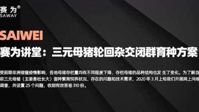 三元母猪闭群轮回杂交育种方案