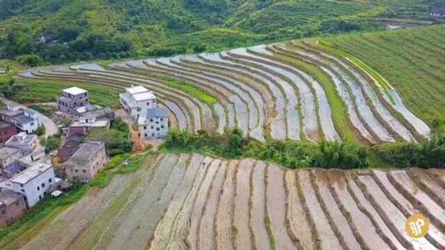 实拍广东梅州联丰村千里梯田,一层一层的,美得不像话