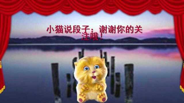 小猫讲笑话:蚊子和刺猬的对话,都是真理呀,太逗了!