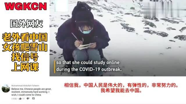 老外看中国:姑娘爬雪山找信号学习,通讯公司为她一人解决!