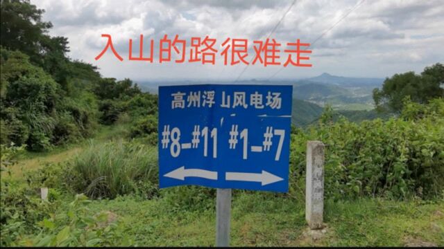 根子这边风车山封路,去爬1号风车山,风景也不比33号这边差