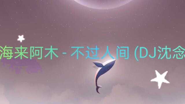 海来阿木不过人间(DJ沈念版)