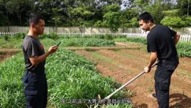 刷到所谓的大胃王自己动手方知粒粒皆辛苦厉行节约反对浪费茂名中国警察网平安南粤 小助手