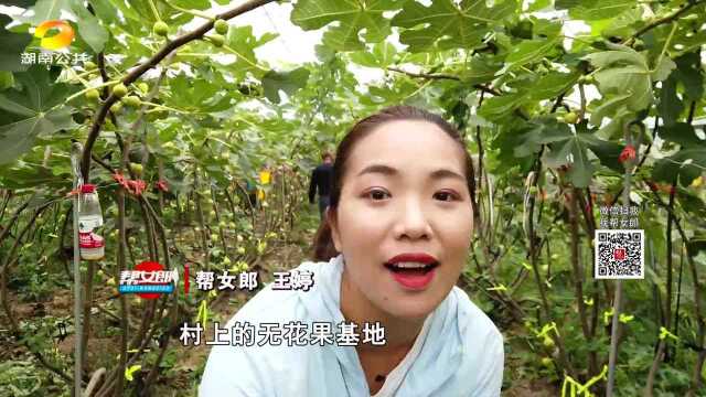 长沙望城区光明村:生态新村美如画 产业富民有奔头