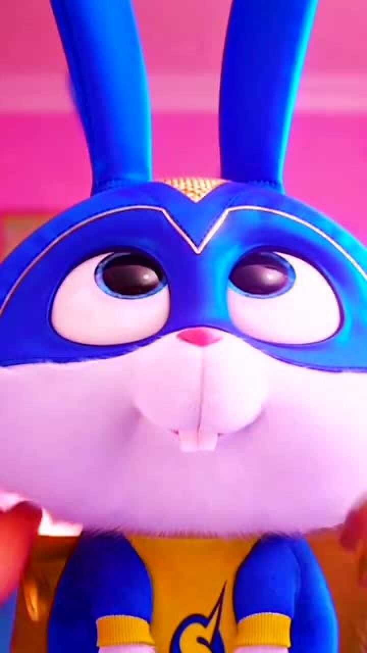 爱宠大机密:超级可爱的兔子超人,就问你们爱了吗?