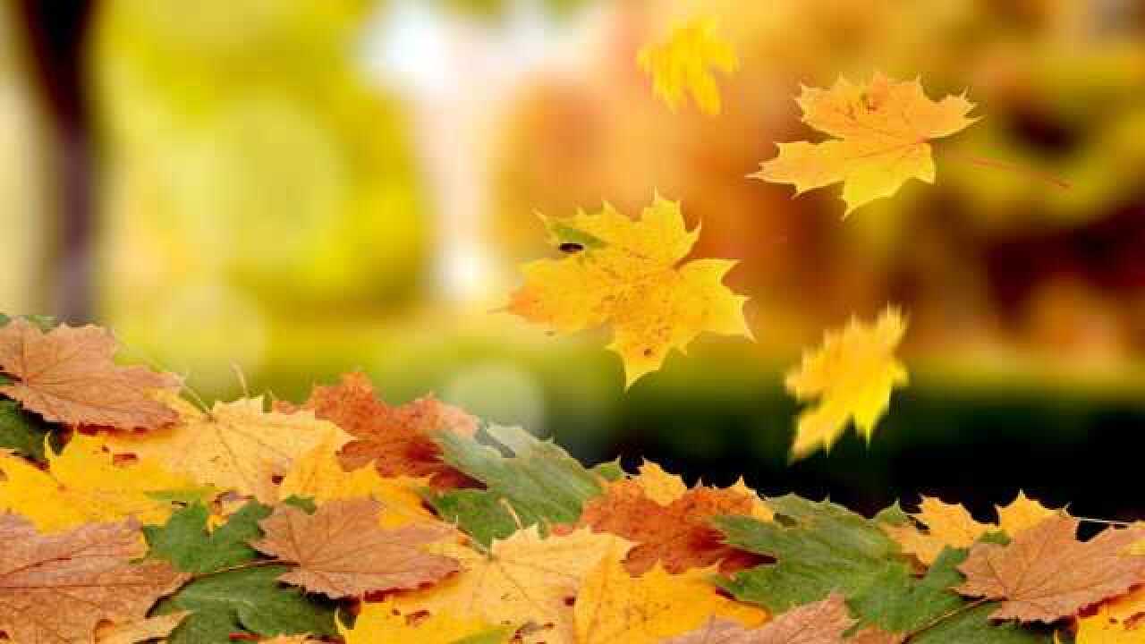 电视散文往事又经年作者白落梅_腾讯视频
