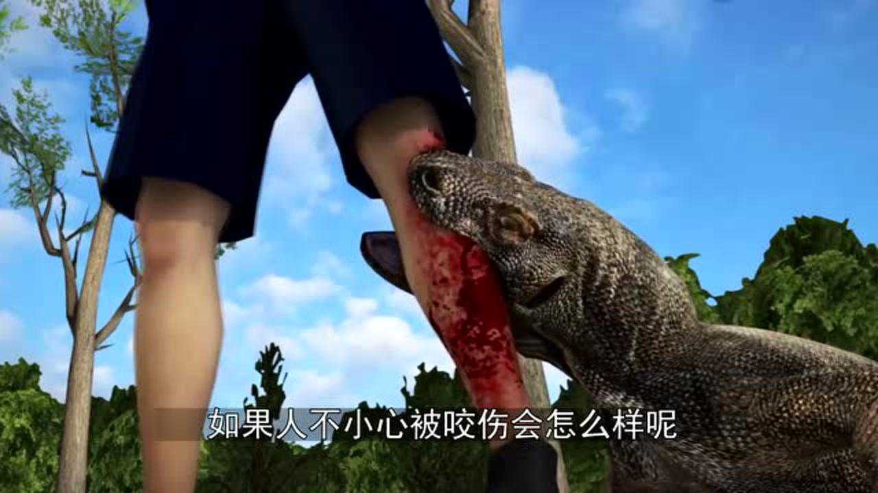 人被科莫多巨蜥咬一口后果有多严重看看这块肉的下场