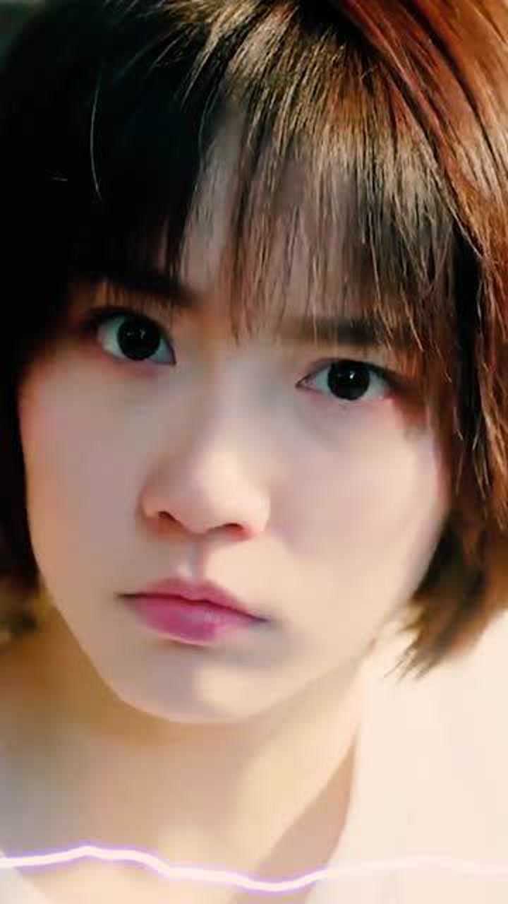 心心念念的狗哥来了,成果动态壁纸