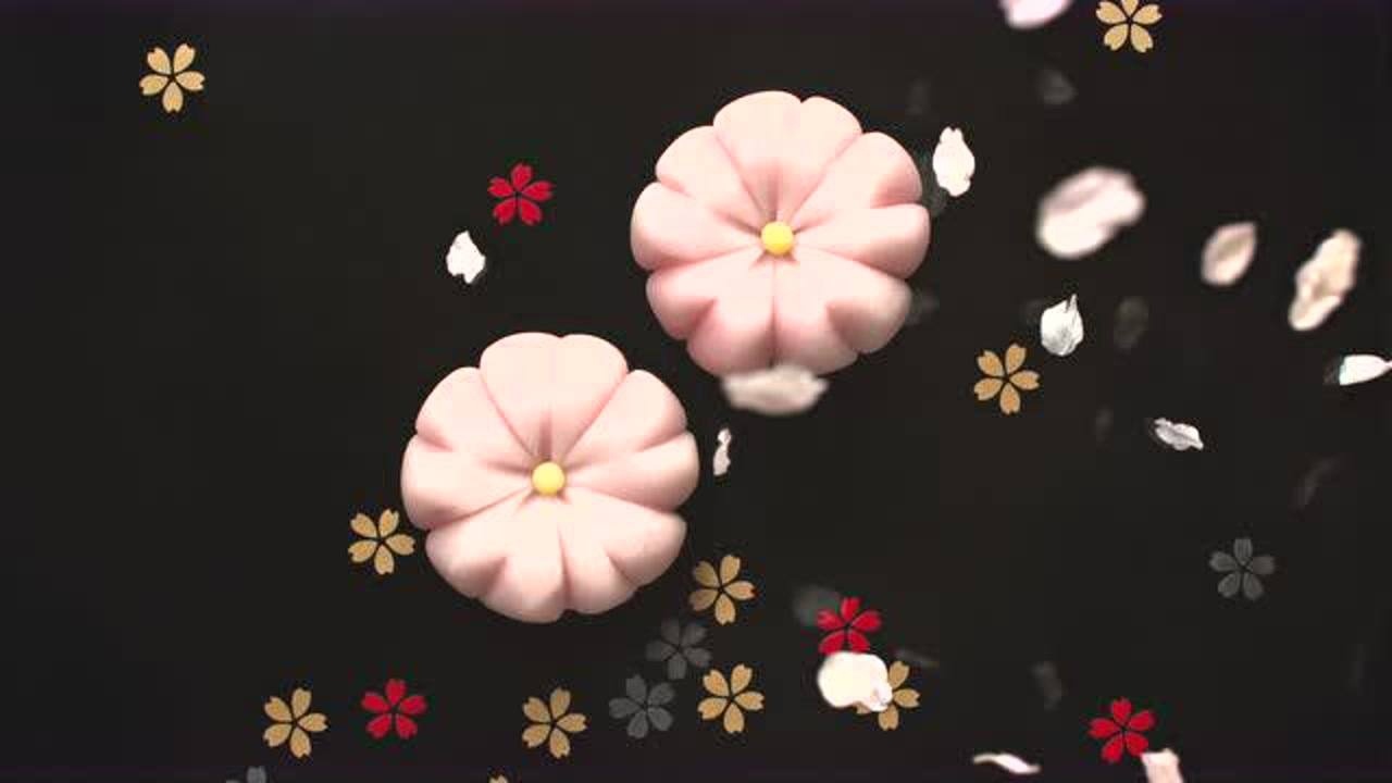 索尼（SONY）4K演示片索尼（SONY）4K电视测试视频唯美(2160X384060fps)_腾讯视频