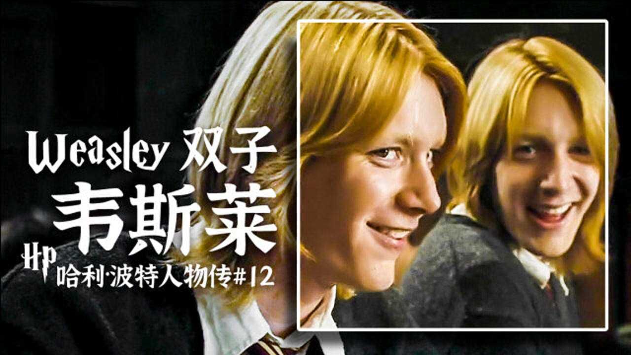 哈利波特人物传12：如何分清韦斯莱双子？ 高清1080p在线观看平台 腾讯视频