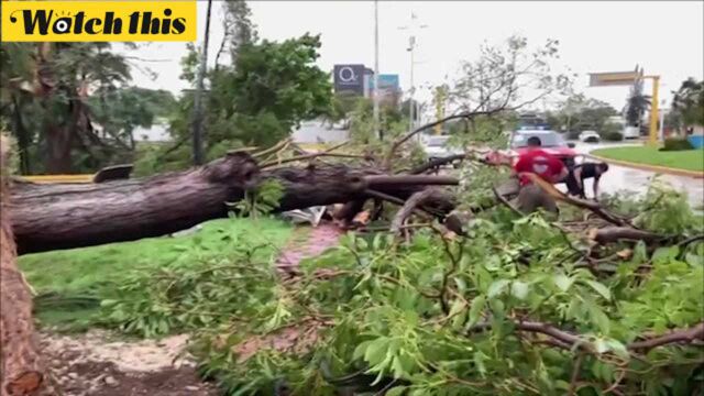 四级飓风席卷墨西哥尤卡坦半岛 度假胜地一片狼藉断水断电