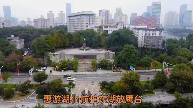 惠游湖北航拍放鹰台遗址# 武汉东湖西岸,楚河汉街东边,打卡诗人李白放鹰台遗址.