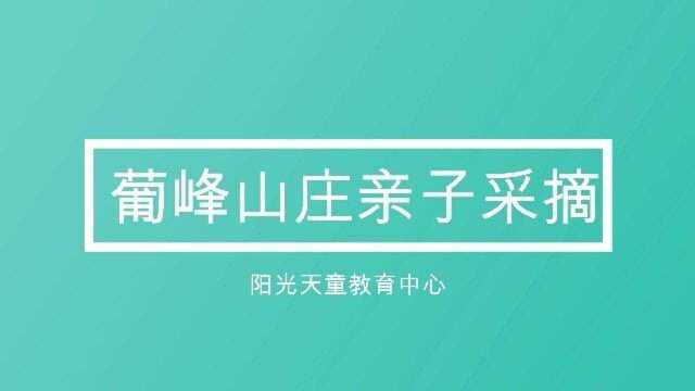 阳光天童葡峰山庄1整装待发