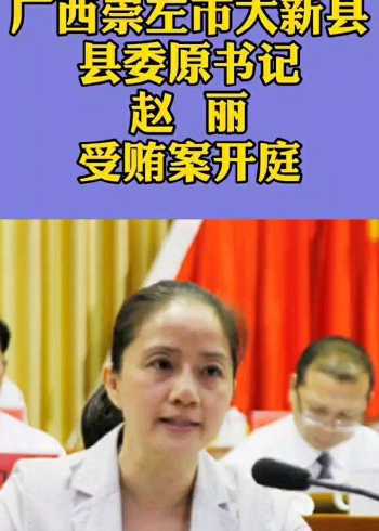 广西崇左市大新县县委原书记赵丽受贿案开庭