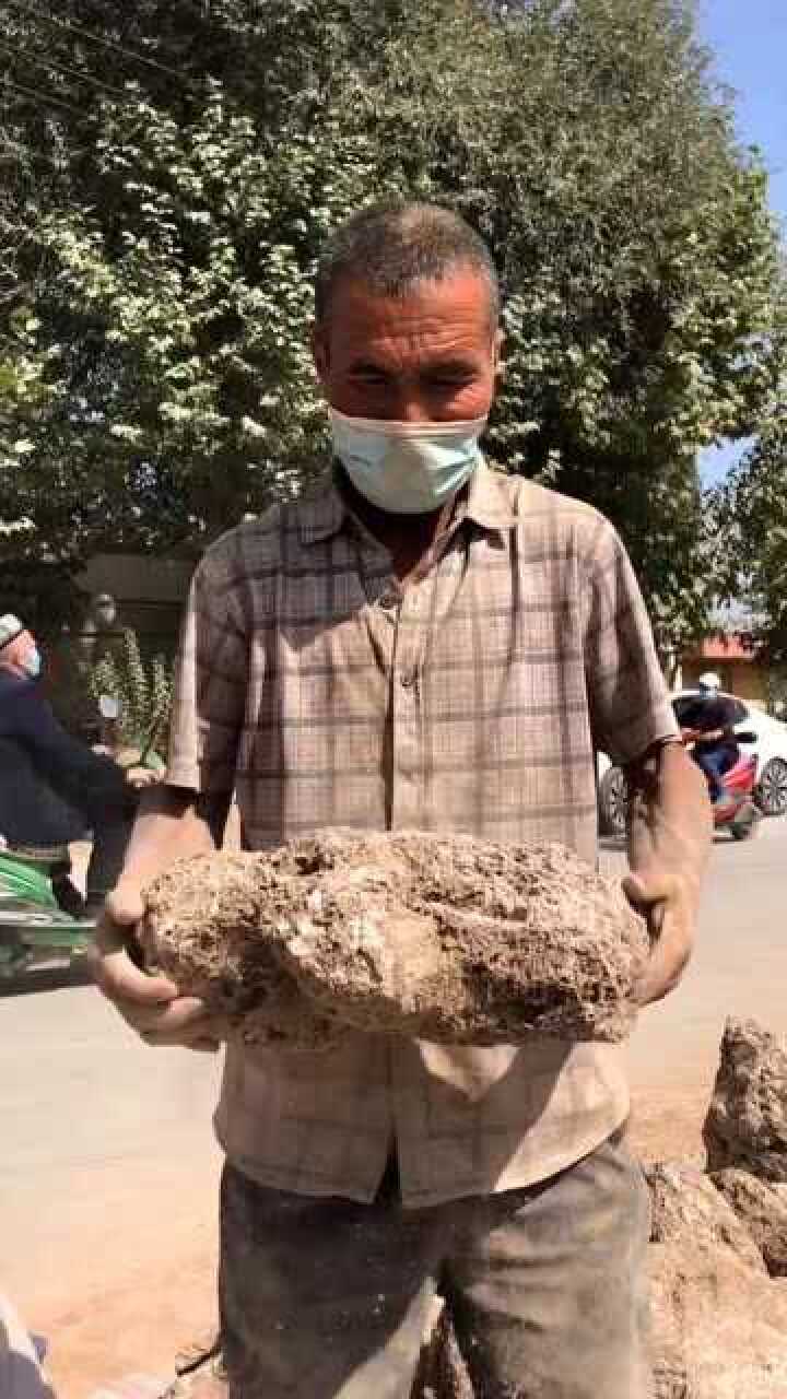 新疆有一种可以吃的土你知道是什么吗