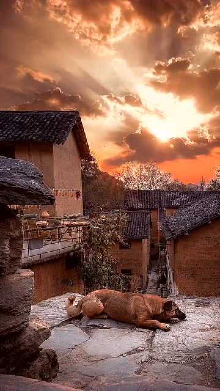 总想把故乡写成诗把思念寄给远方在一场深秋的雨后满院都是禅意的宁静