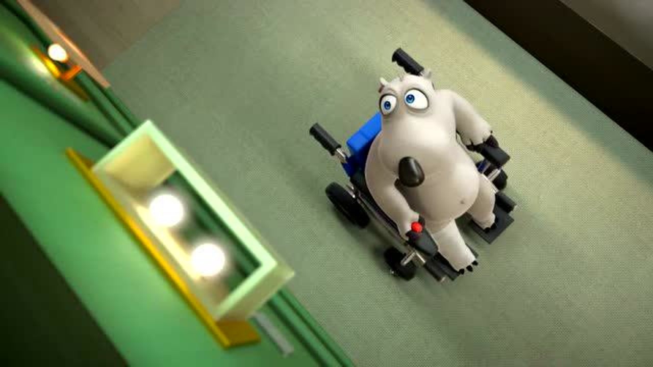 贝肯熊 第5季 第5集