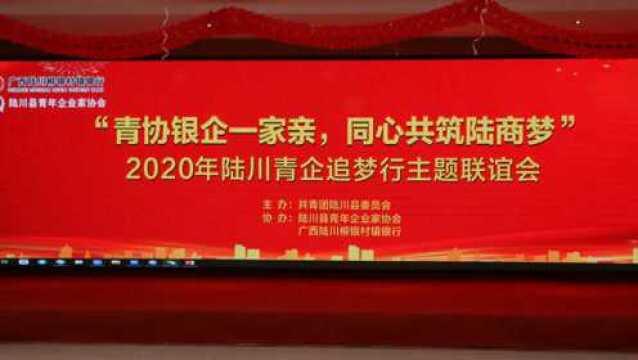 2020陆川青企追梦行主题联谊会