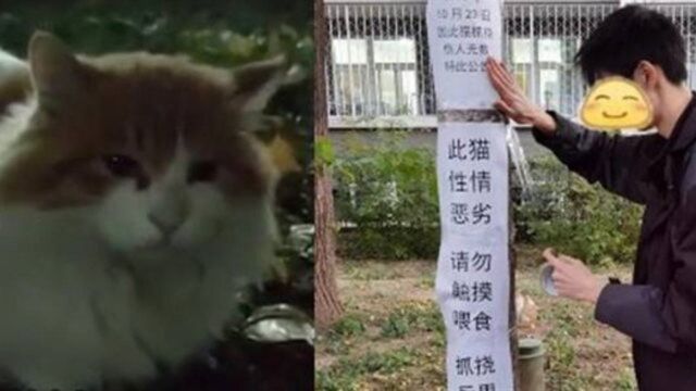 北大流浪猫因抓人被“公开处刑”!为什么人们喜欢撸猫?科学家告诉你这是病