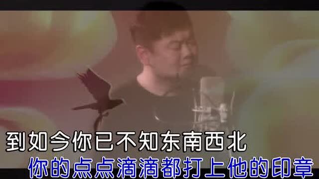 于晓帅别跟自己算细账 红日蓝月KTV推介