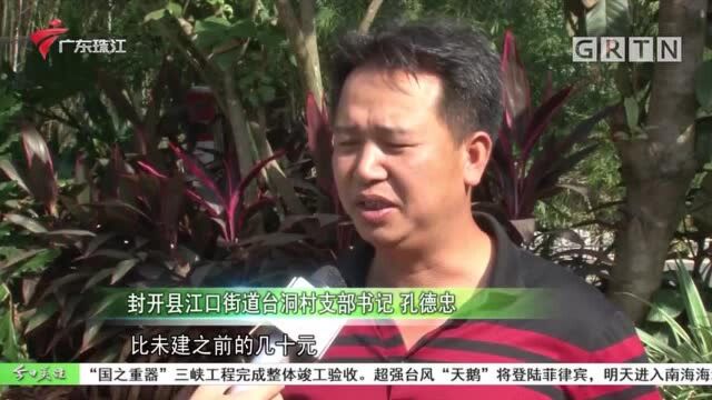 肇庆封开:建设省际廊道 边远乡村变网红