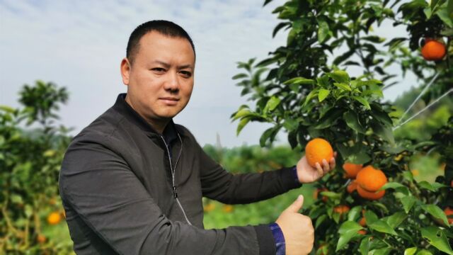 四川南充:离城区不远的果园,体验采摘乐趣,好吃又好耍