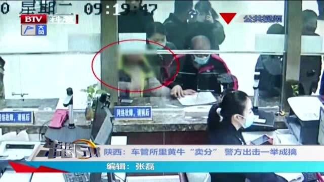 车管所里“黄牛”游荡,组织“卖分”被民警现场抓获