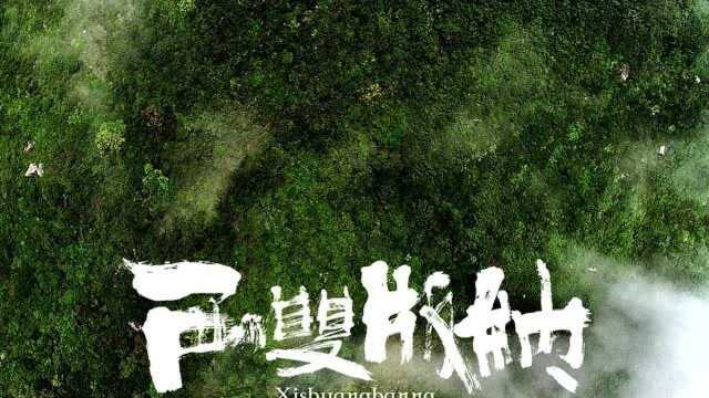 西双版纳 预告 无压缩版