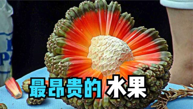 4种昂贵的水果,一颗葡萄3000元,你知道这个是露兜树的果实吗?