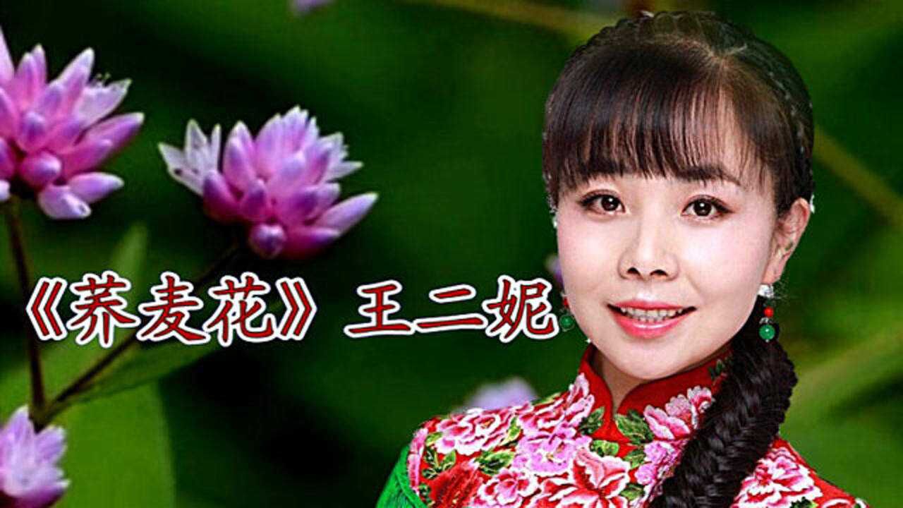 陕北民歌《荞麦花》演唱 王二妮 歌颂家乡
