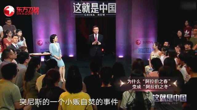 张维为:“阿拉伯之春”把叙利亚从天堂打入了地狱,自己作孽没办法