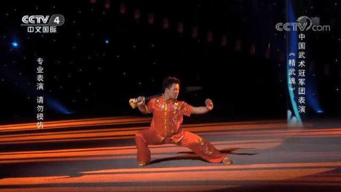 中国武术冠军团表演《精武魂》，气势磅礴，获满堂彩