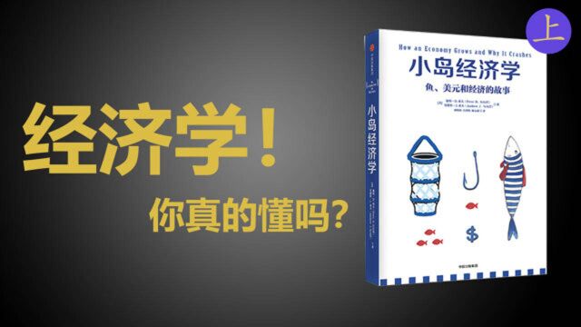 吐血解读《小岛经济学 上》一个故事读懂全球经济