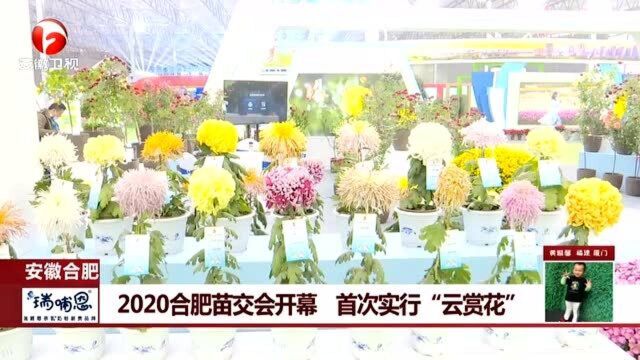 安徽合肥:2020合肥苗交会开幕 首次实行“云赏花”