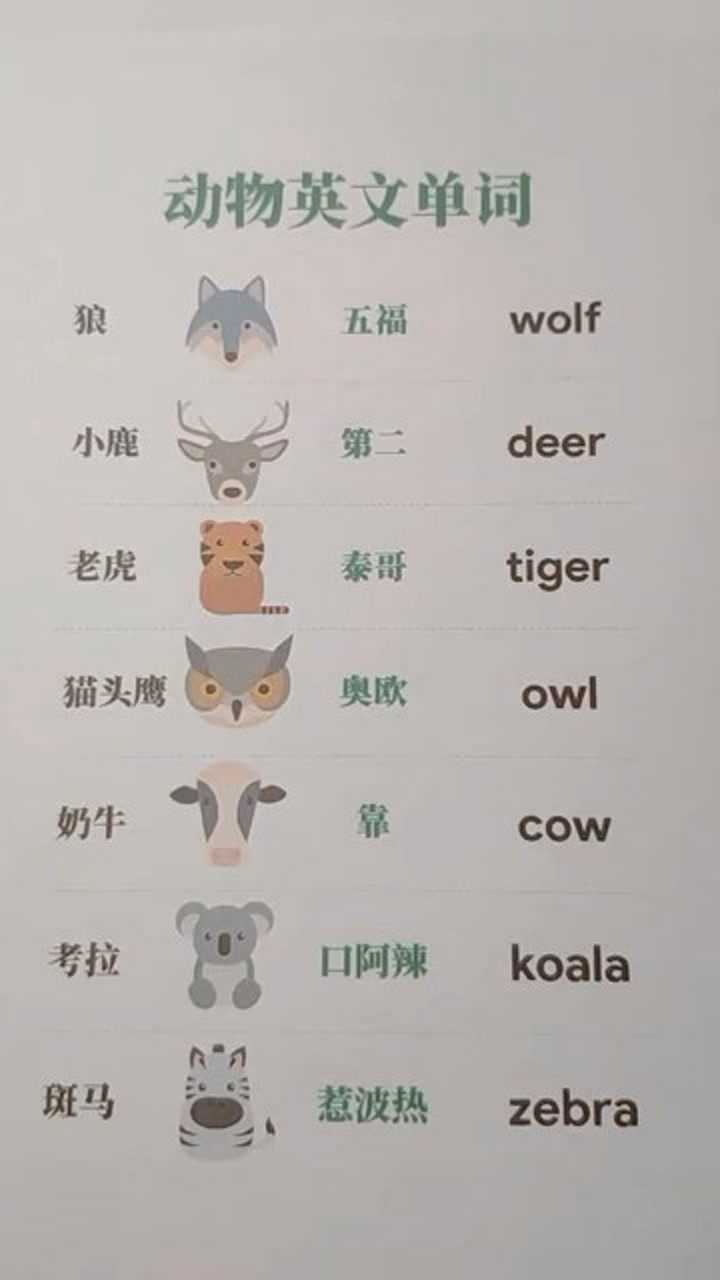 你知道小鹿用英语怎么说吗?跟我一起读读吧