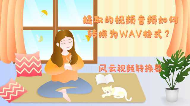 提取的视频音频如何转换为WAV格式?