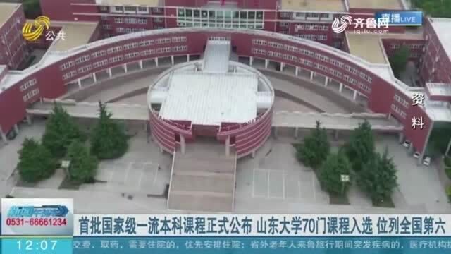 首批国家级一流本科课程公布 山东大学70门课程入选 位列全国第六