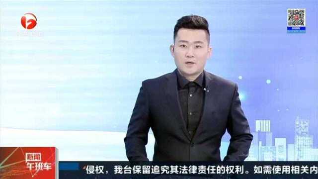 合肥:警方破获特大跨境网络赌博案 涉案资金流水高达500多亿元