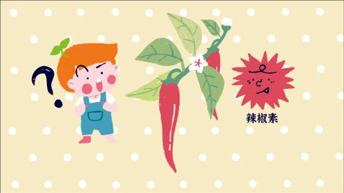 食品有意思:为什么吃辣椒会有辛辣刺激的感觉?