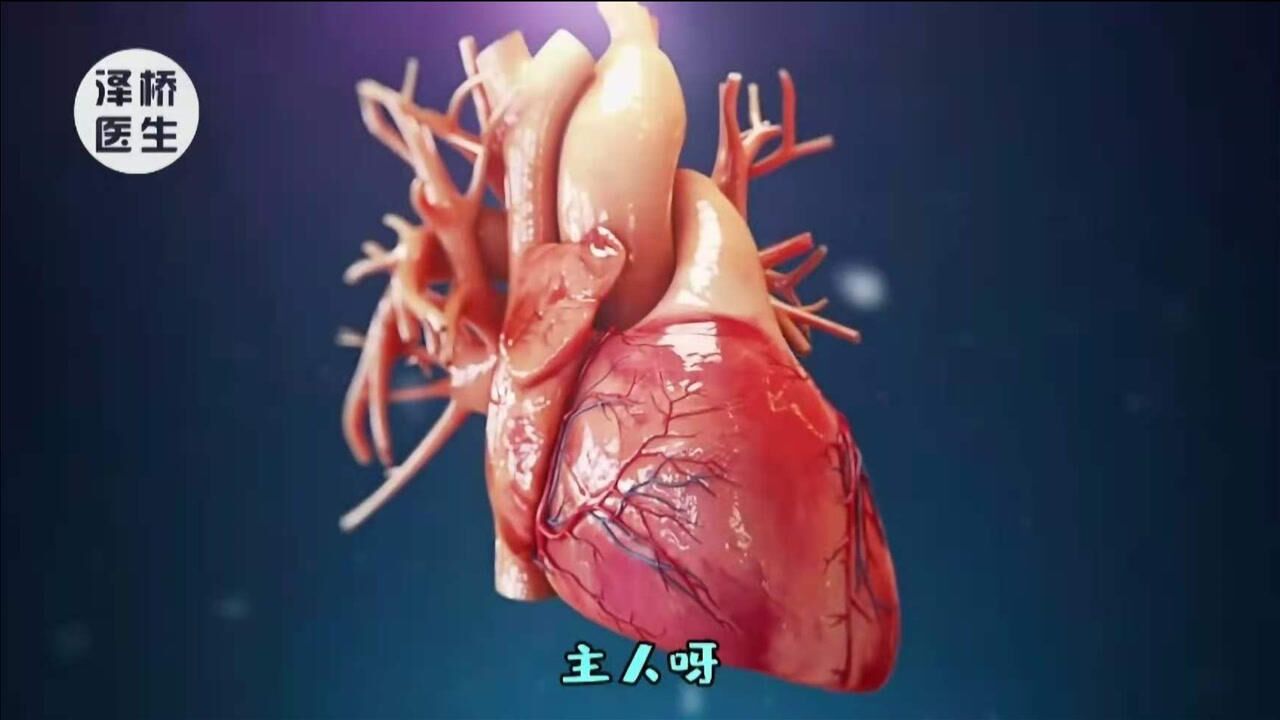 心脏的自述：一颗心脏是如何开展工作的？心脏想跟你说说心里话_高清1080P在线观看平台_腾讯视频
