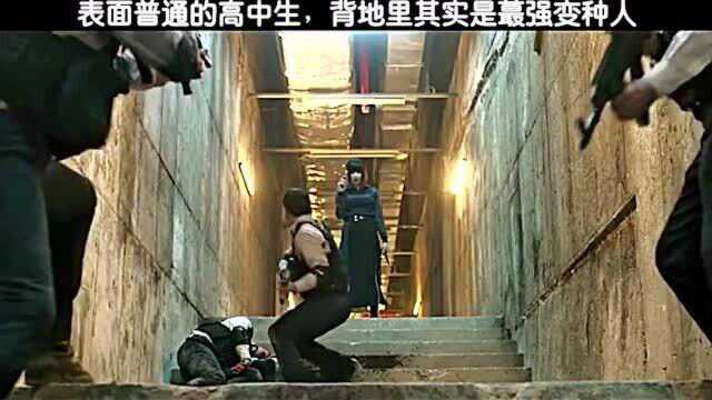 魔女:表面是高中生,其实背地里是大佬