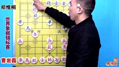 [图]世界象棋锦标赛，曹岩磊对郑惟桐，非常精彩的平顶冠绝杀