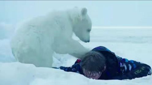 男孩捡了一只小北极熊，当宠物养，危机时还救了他一命
