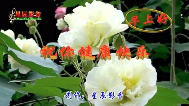 今天一首《祝你健康快乐》歌送给你,祝你每天健康,开心快乐!