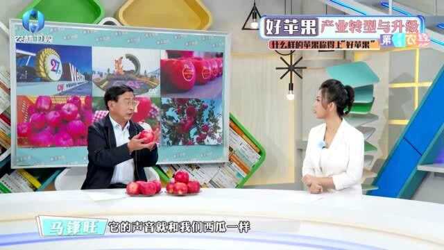 【农经观察】什么样的苹果称得上“好苹果”