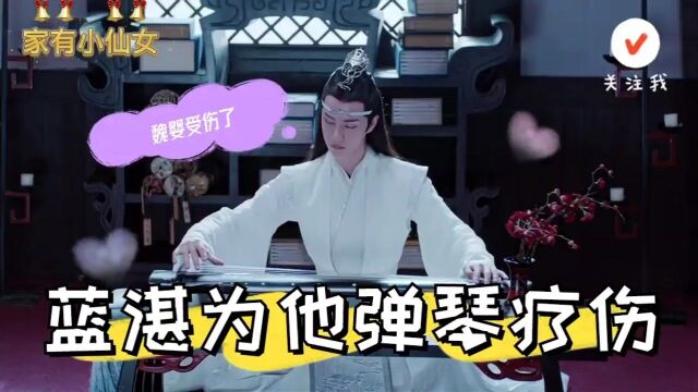 陈情令:真爱啊!魏无羡受伤了,蓝忘机每天都来给他弹琴疗伤~