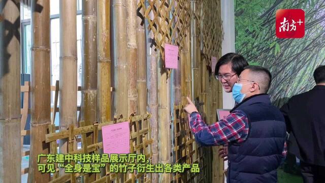 广东建中科技样品展示厅内,可见“全身是宝”的竹子衍生出各类产品